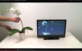 環球時訊 網絡科技與計算機的融合創新與未來展望