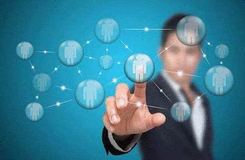 理科就業率排名前十的熱門專業 聚焦網絡科技與計算機領域